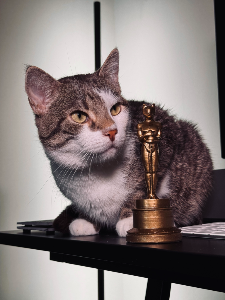 The pawcademy awards